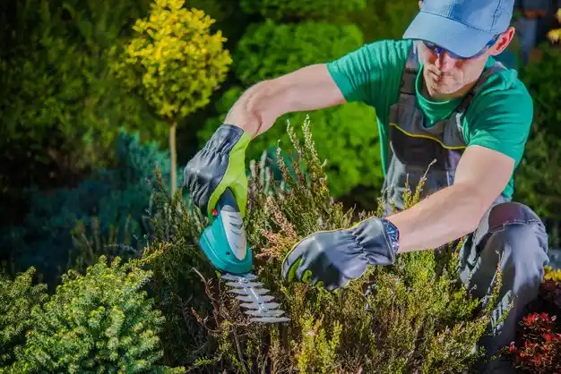 landscaping services Claverack-Red Mills
